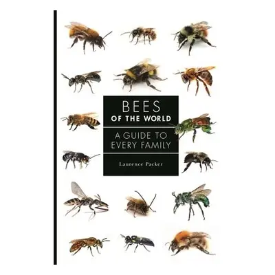 Bees of the World - Packer, Laurence