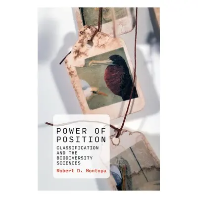 Power of Position - Montoya, Robert D.