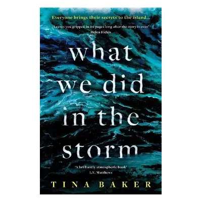 What We Did In The Storm - Baker, Tina