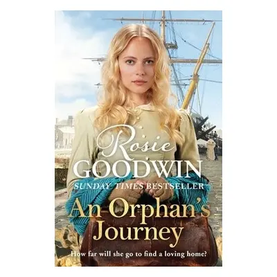 An Orphan's Journey - Goodwin, Rosie