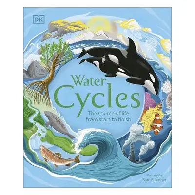 Water Cycles - DK