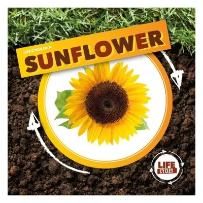 Life Cycle of a Sunflower - Holmes, Kirsty