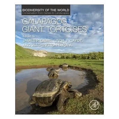 Galapagos Giant Tortoises