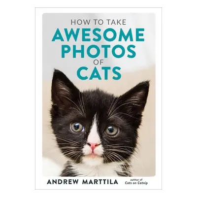 How to Take Awesome Photos of Cats - Marttila, Andrew