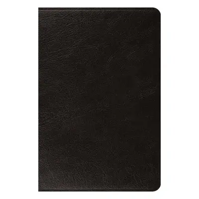 ESV Large Print Bible