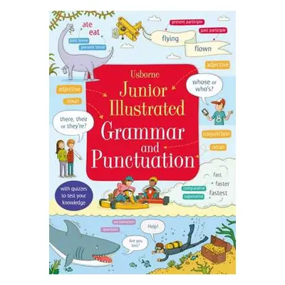 Junior Illustrated Grammar and Punctuation - Bingham, Jane