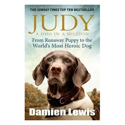 Judy: A Dog in a Million - Lewis, Damien