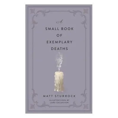 Small Book of Exemplary Deaths - Sturrock, Matt