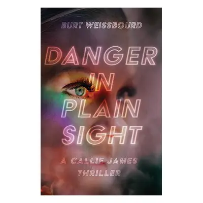 Danger in Plain Sight - Weissbourd, Burt