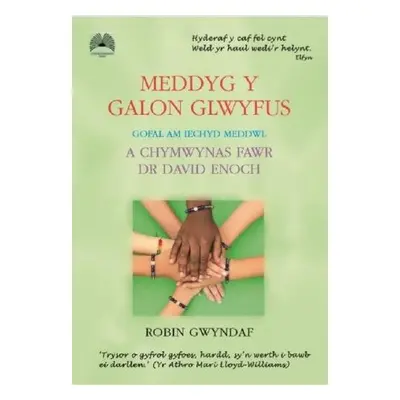 Meddyg y Galon Glwyfus - Gofal am Iechyd Meddwl a Chymwynas Fawr Dr David Enoch - Gwyndaf, Robin