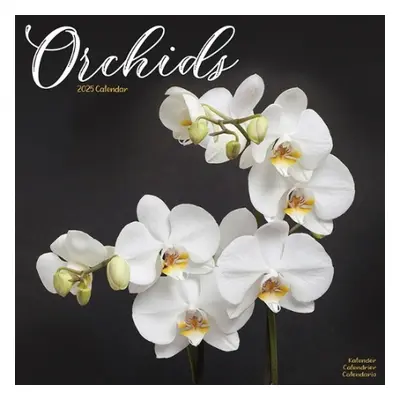 Orchids Calendar 2025 Square Flowers Wall Calendar - 16 Month