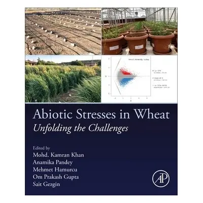 Abiotic Stresses in Wheat