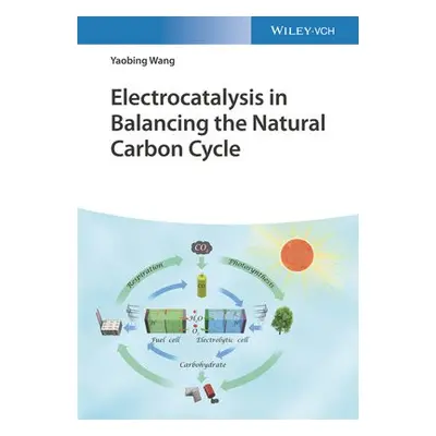 Electrocatalysis in Balancing the Natural Carbon Cycle - Wang, Yaobing (Chinese Academy of Scien