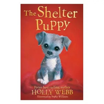 Shelter Puppy - Webb, Holly