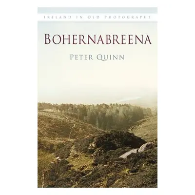 Bohernabreena - Quinn, Peter