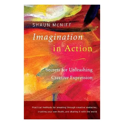 Imagination in Action - McNiff, Shaun