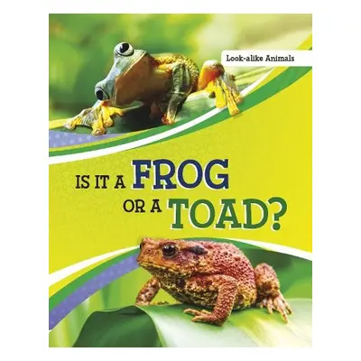 Is It a Frog or a Toad? - Katz, Susan B.