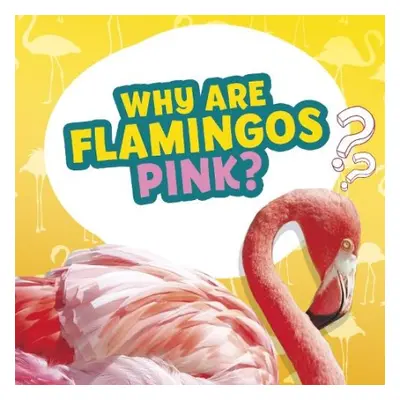 Why Are Flamingos Pink? - Dickmann, Nancy