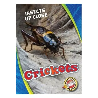 Crickets - Perish, Patrick