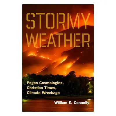 Stormy Weather - Connolly, William E.