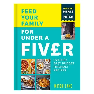 Feed Your Family for Under a Fiver - Lane, Mitch