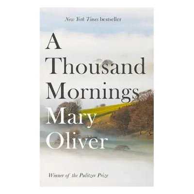 Thousand Mornings - Oliver, Mary