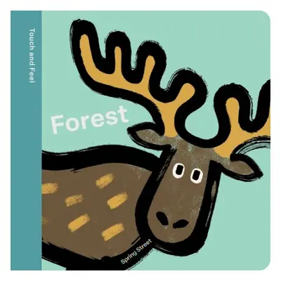 Spring Street Touch and Feel: Forest - Boxer Books