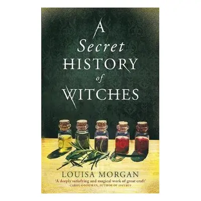 Secret History of Witches - Morgan, Louisa