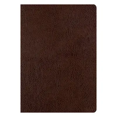 ESV Single Column Journaling Bible, Large Print