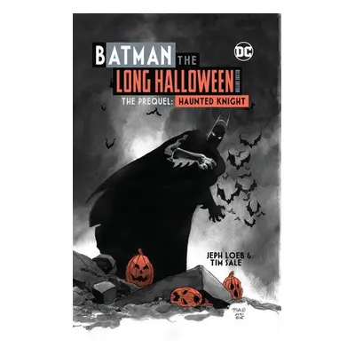 Batman: The Long Halloween Haunted Knight Deluxe Edition - Loeb, Jeph a Sale, Tim