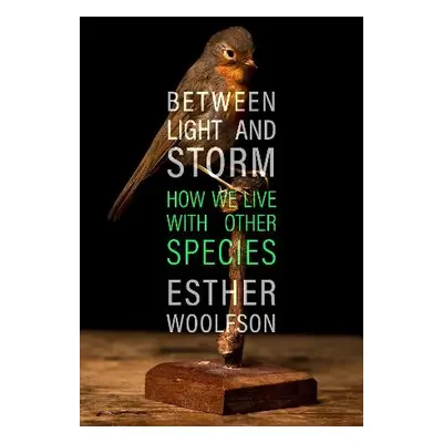 Between Light and Storm - Woolfson, Esther