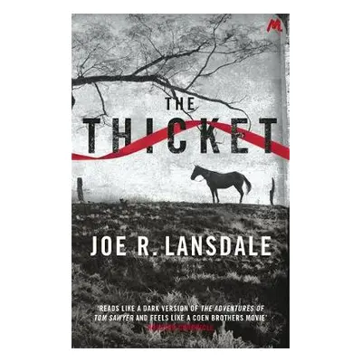 Thicket - Lansdale, Joe R.