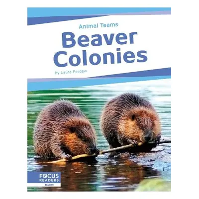 Beaver Colonies - Perdew, Laura