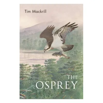 Osprey - Mackrill, Tim (Author)