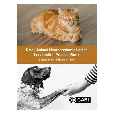 Small Animal Neuroanatomic Lesion Localization Practice Book