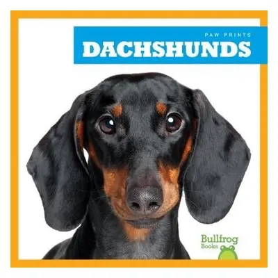 Dachshunds - Duling, Kaitlyn