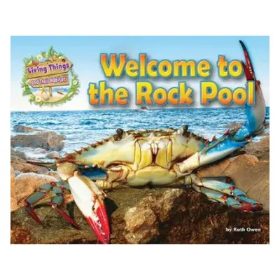 Welcome to the Rock Pool - Owen, Ruth