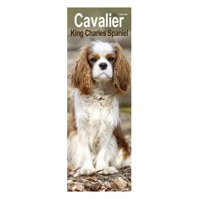 Cavalier King Charles Slim Calendar 2025 Dog Breed Slimline Calendar - 12 Month