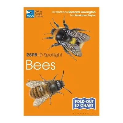 RSPB ID Spotlight - Bees - Taylor, Marianne