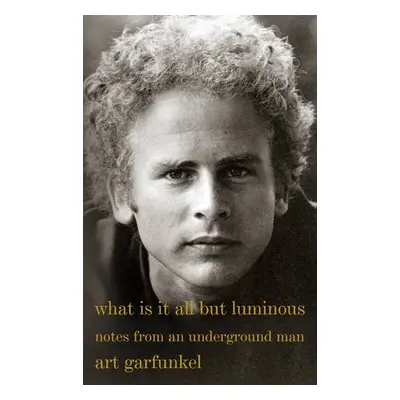 What Is It All but Luminous - Garfunkel, Art