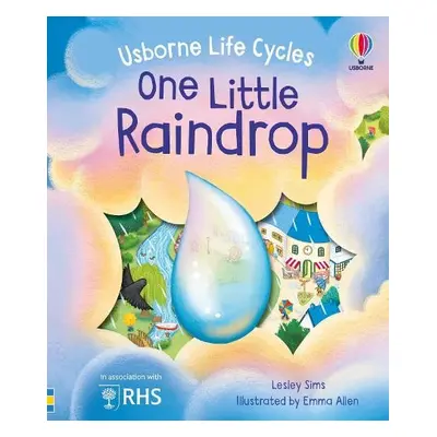 One Little Raindrop - Sims, Lesley