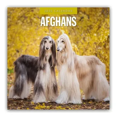 Afghans 2025 Square Wall Calendar - Red Robin