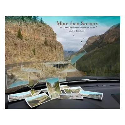 More Than Scenery - Pritchard, Janet L