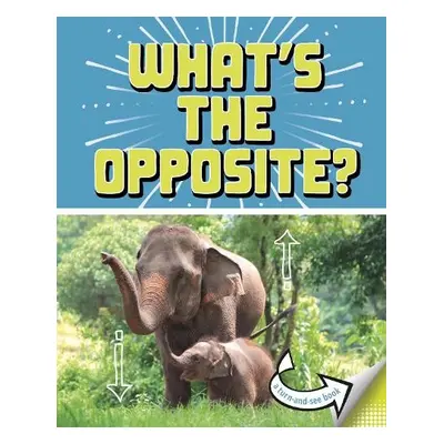 What's the Opposite? - Meister, Cari