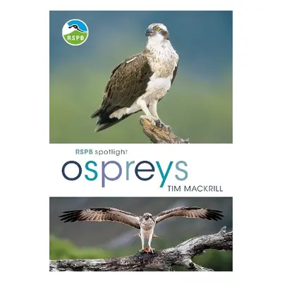 RSPB Spotlight Ospreys - Mackrill, Tim (Author)