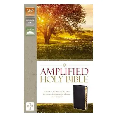 Amplified Holy Bible, Bonded Leather, Black, Thumb Indexed