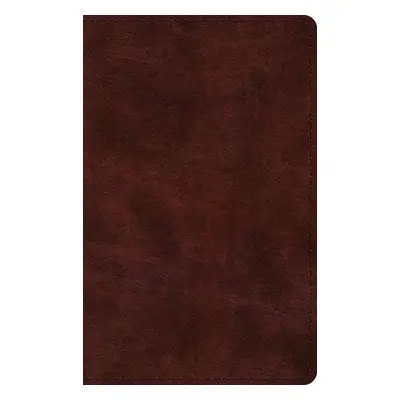 ESV Large Print Thinline Bible