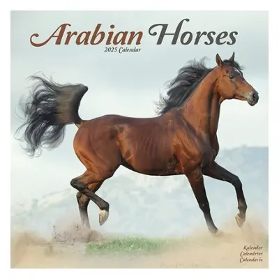 Arabian Horses Calendar 2025 Square Horses Wall Calendar - 16 Month