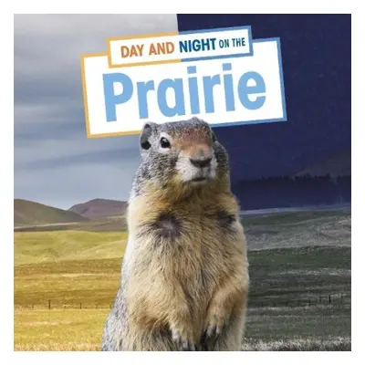 Day and Night on the Prairie - Labrecque, Ellen