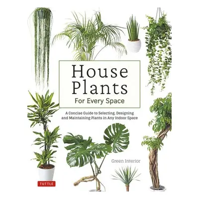 House Plants for Every Space - Green Interior